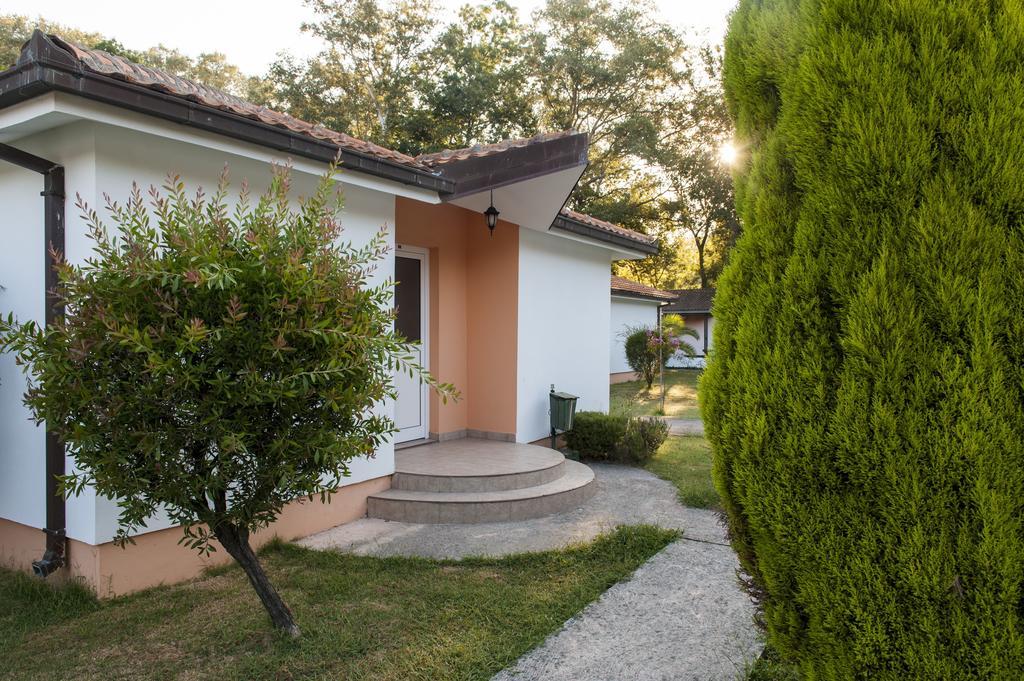 Hotel Htp Velika Plaza Ulcinj Pokoj fotografie